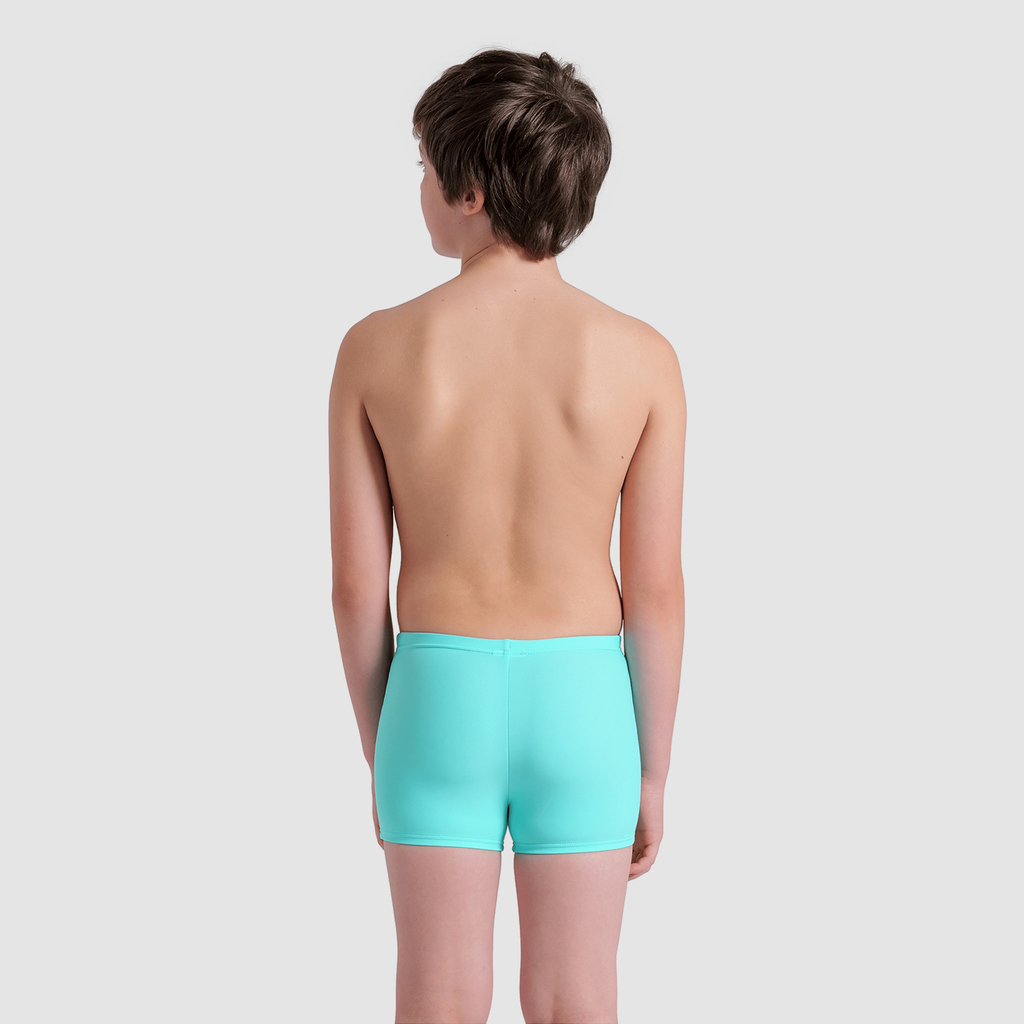 Arena Kikko V Swim Short Graphic water/navy rueckseite_bild_brandshop