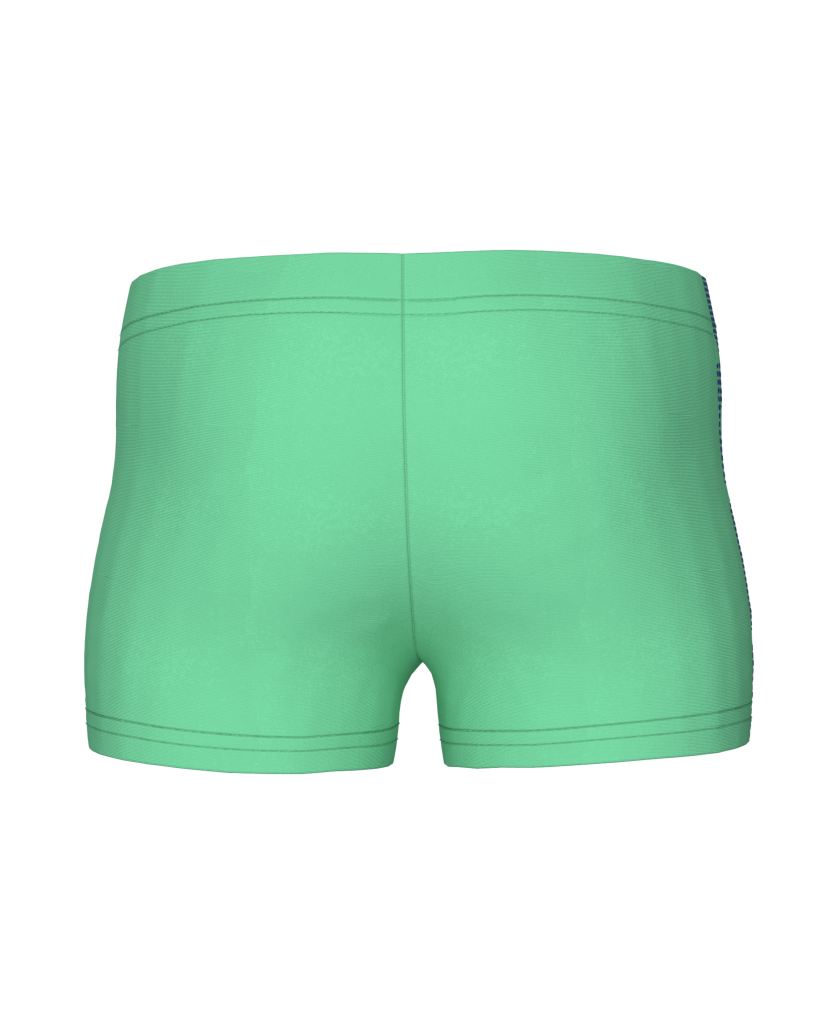 Arena Kids B Arena Logo Short Swim Short in GRÜN