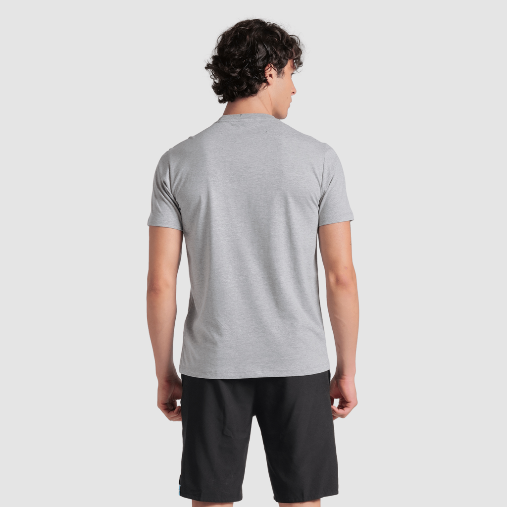 Arena T-Shirt Logo T-Shirt in GRAU