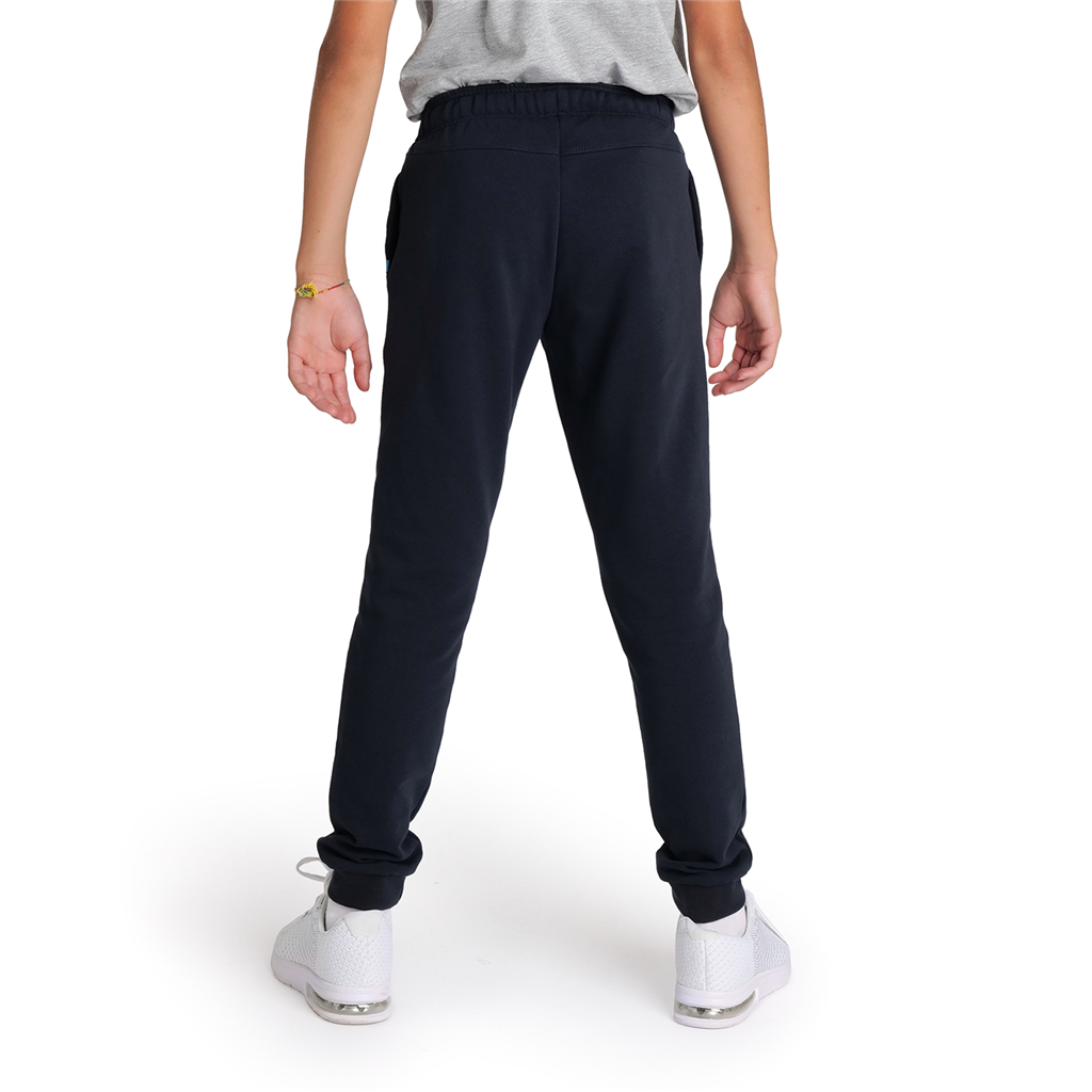 Arena Team Pant Solid in BLAU