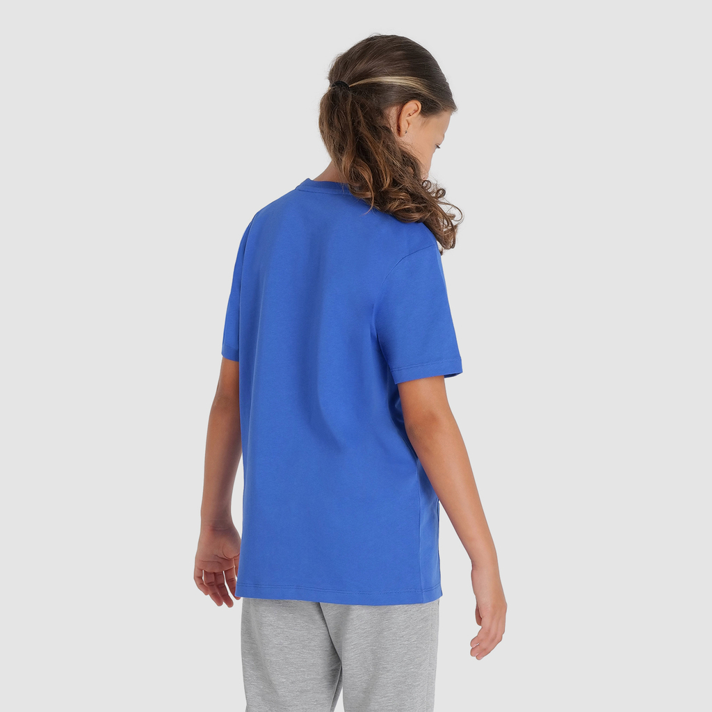 Arena Team T-Shirt Panel in BLAU