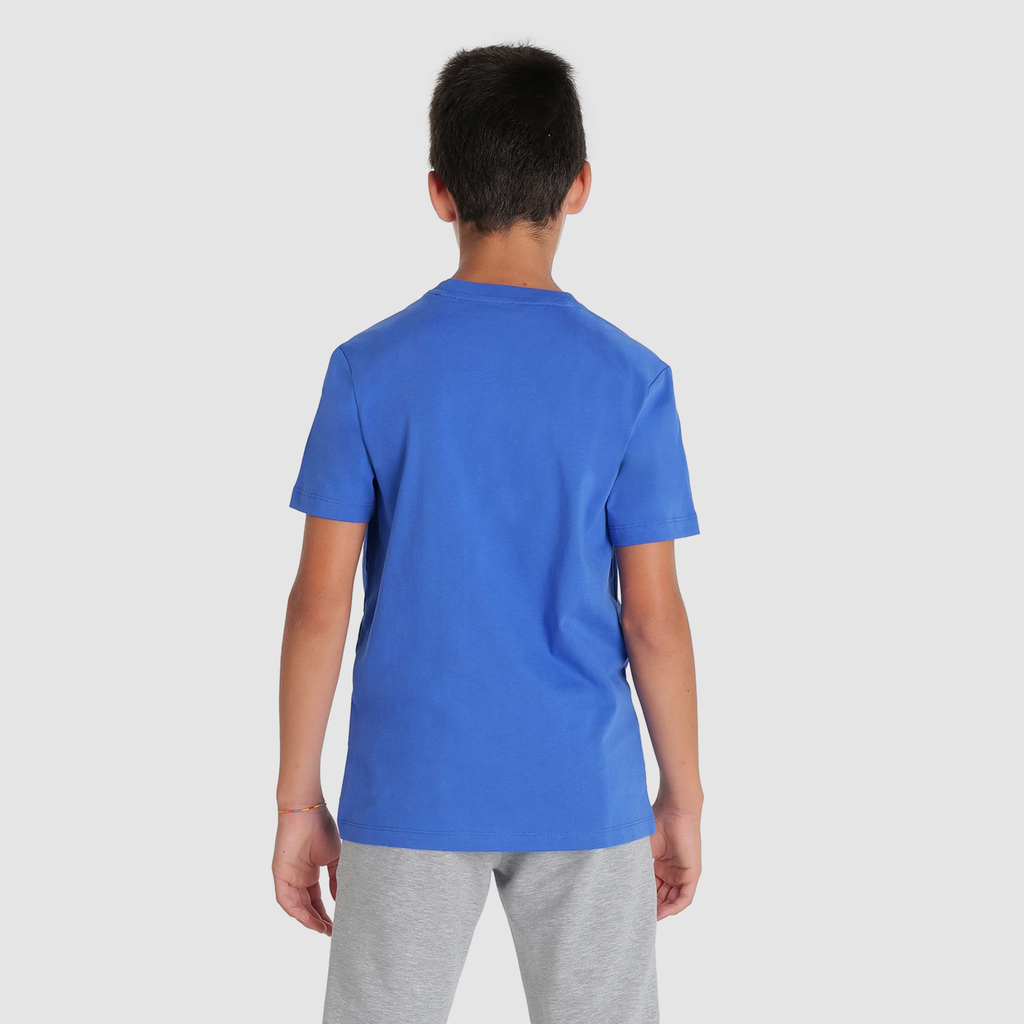 Arena Team T-Shirt Panel in BLAU