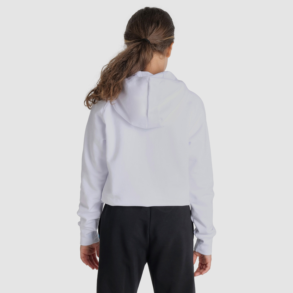 Arena Team Hooded Sweat Panel in WEISS