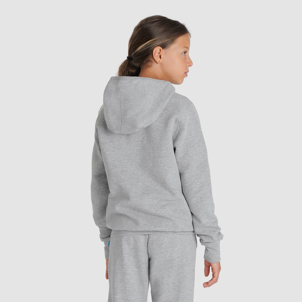 Arena Team Hooded Sweat Panel in GRAU