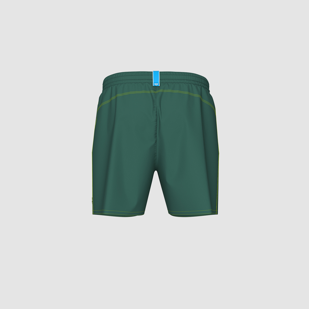 Arena Bywayx R Beach Short in GRÜN