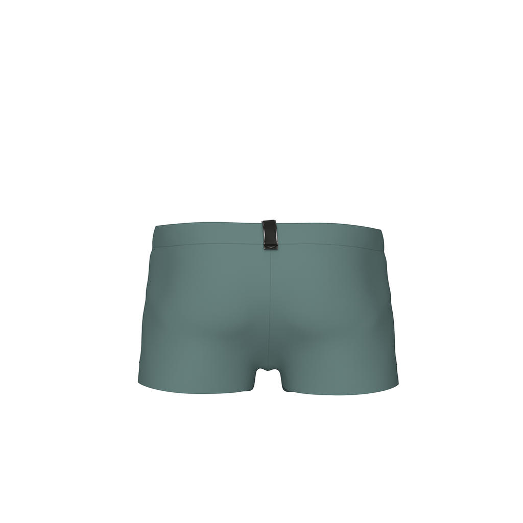 Arena M Arena Evo Swim Short Swim Short in GRAU
