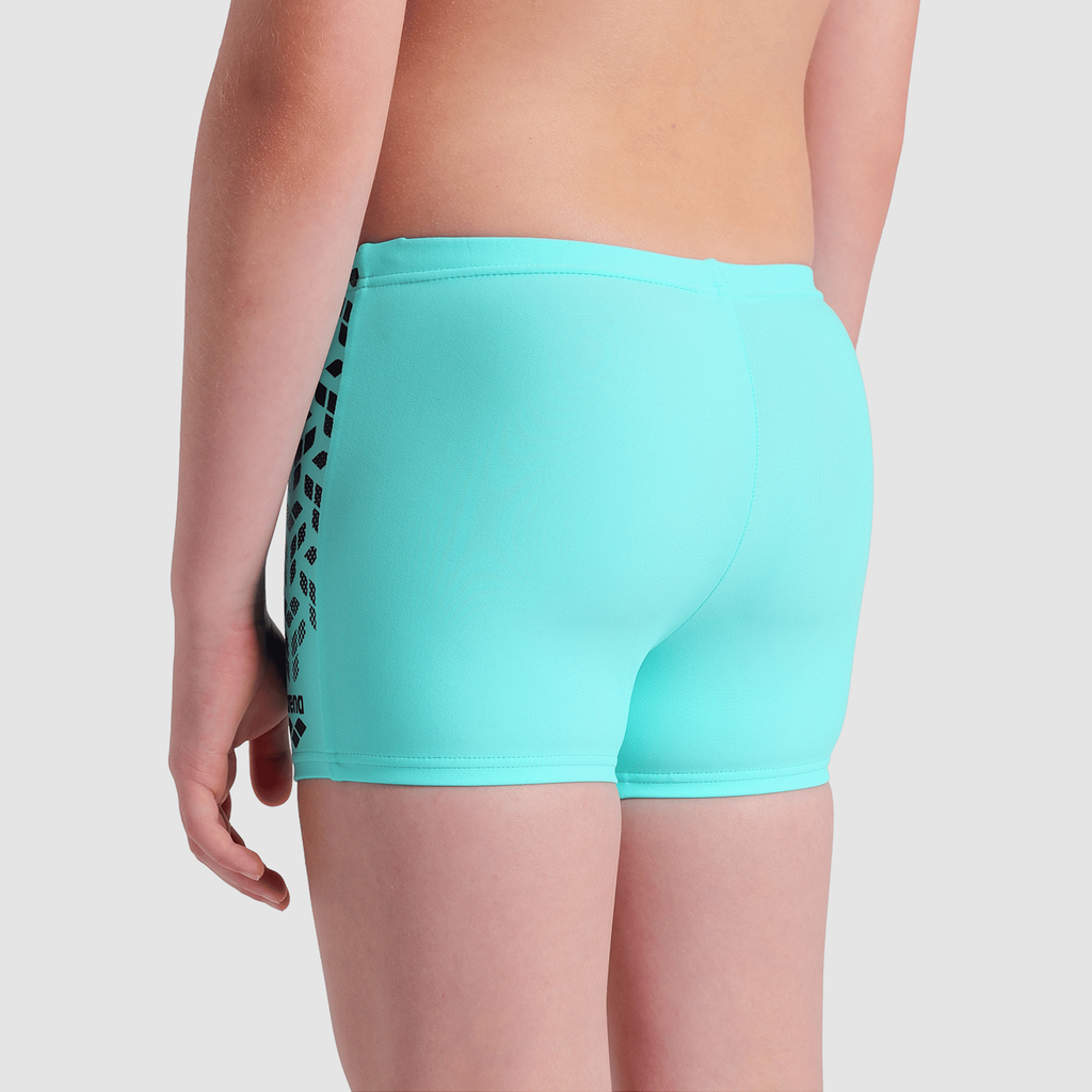 Arena Arena Kikko V Swim Short Graphic in BLAU