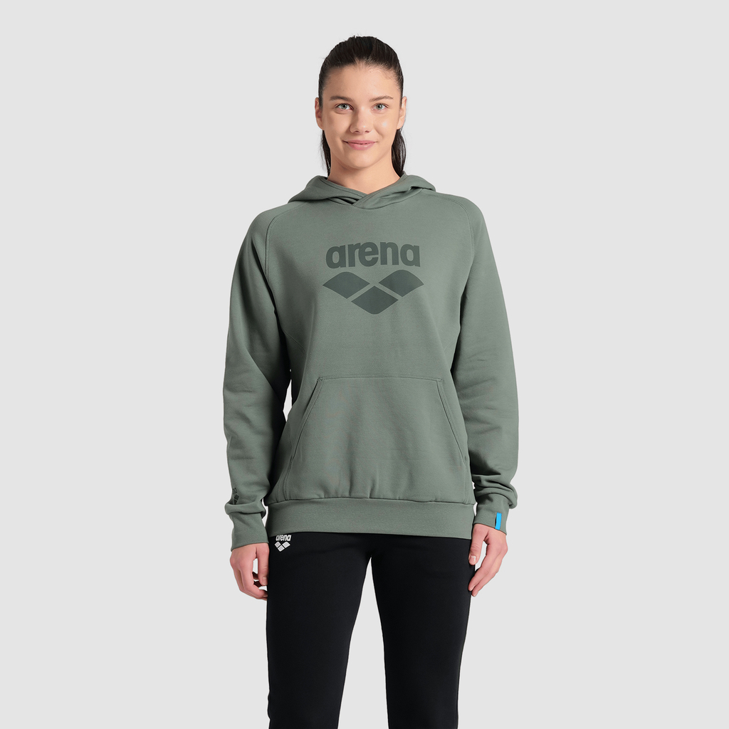 Arena Hooded Sweat Logo Kapuzenpullover in GRÜN