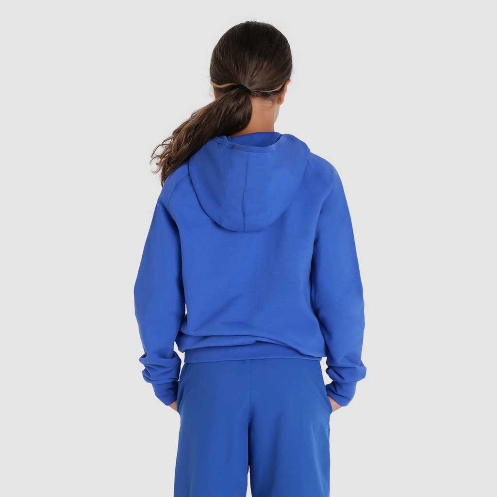 Arena Team Hooded Sweat Panel in BLAU