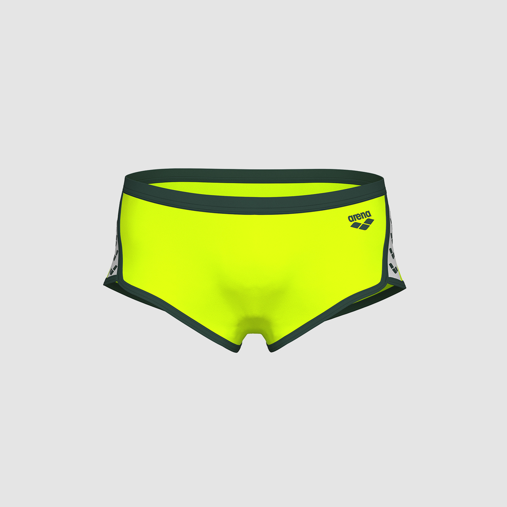 Arena Arena Icons Swim Low Waist Short Solid in GRÜN