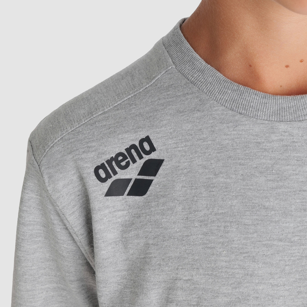 Arena Team T-Shirt Panel in GRAU